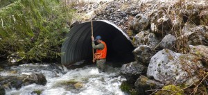 home_culvert